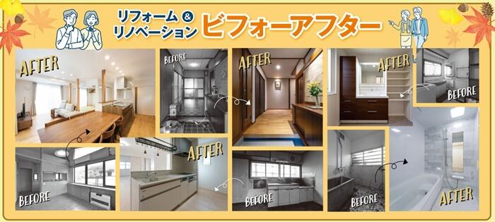 b8bf0405fbe9afa79a22fde486d35c39-2048x923 (2).jpg