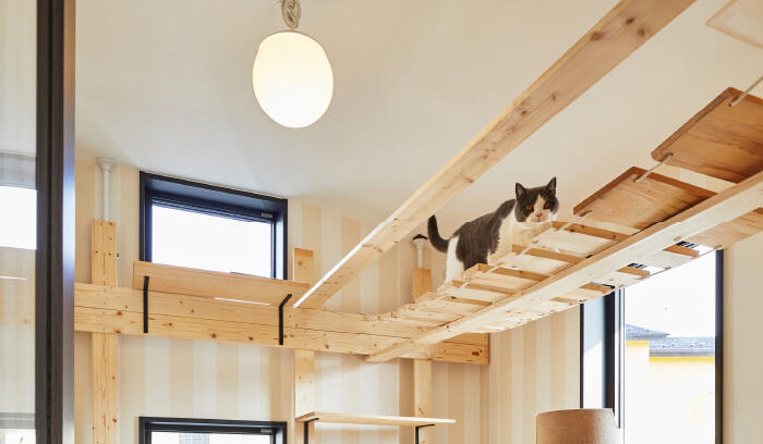 アートボード 1 のコピー-100.jpg