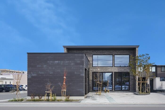 生成_241225_0066 トリミング.jpg