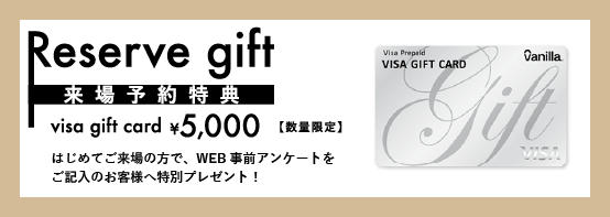 VISA5000.png